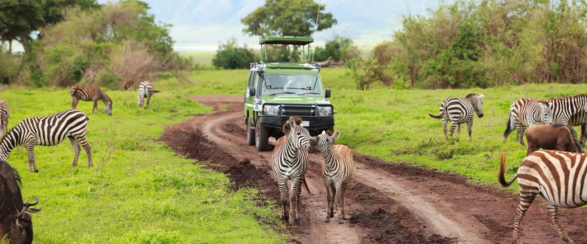 Destination Tanzanie